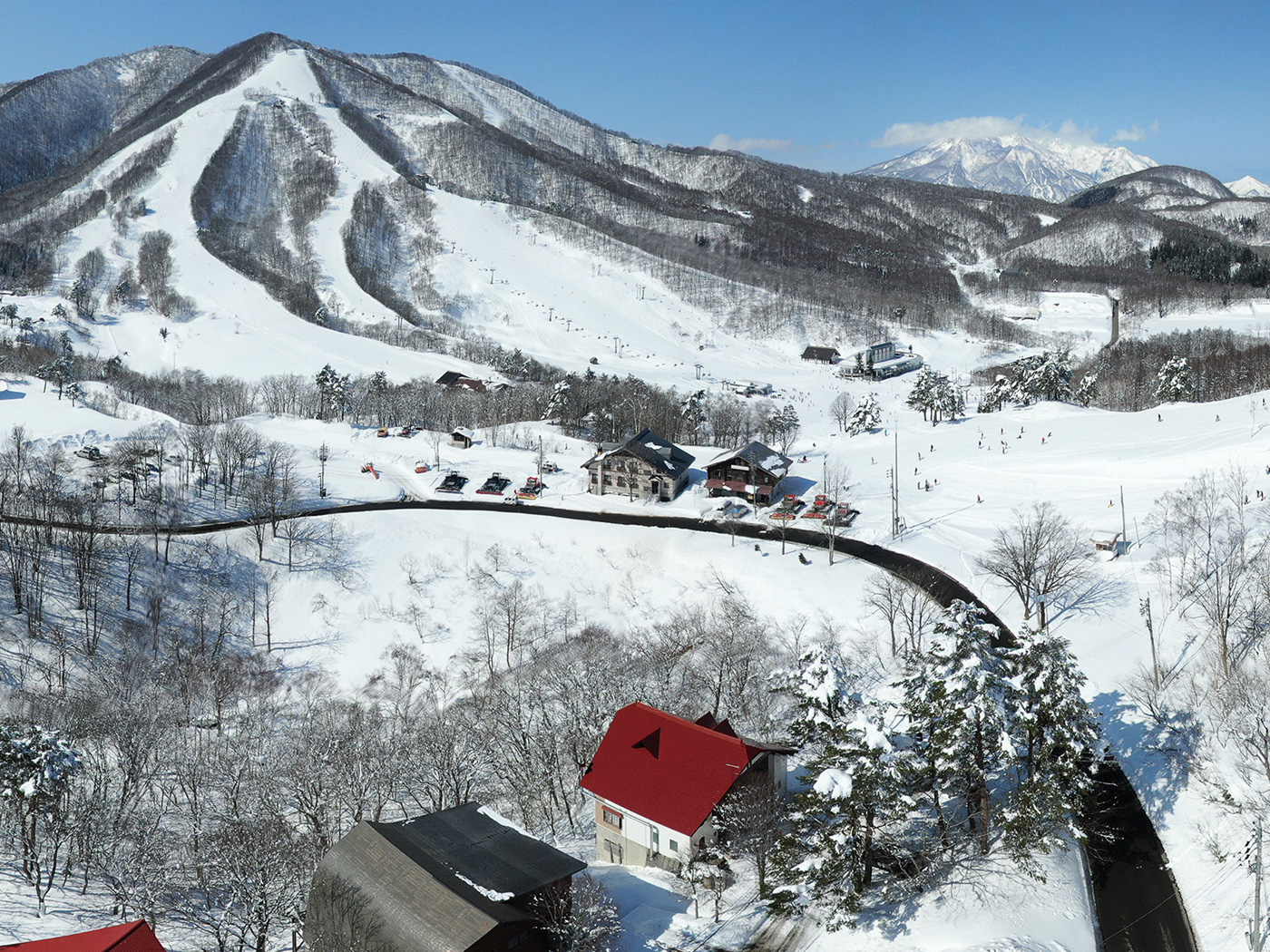 buy japanese ski lodge